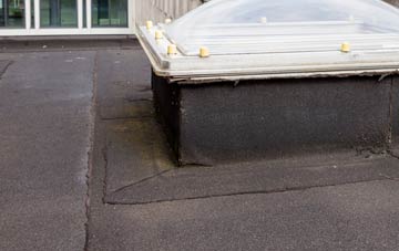 disadvantages of Drynham flat roofs