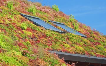 Drynham living roof systems