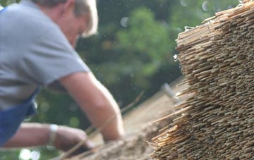 professional Drynham thatchers