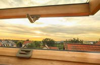 rated Drynham roof window companies